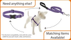 LupinePet ECO Recycled Martingale Dog Collar, Tropical Sea, Small: 10 to 14-in slide 2 of 6