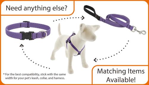 Show full view: LupinePet Eco Polyester Dog Collar, Berry, Large: 15 to 25-in neck, 3/4-in wide slide 4 of 5