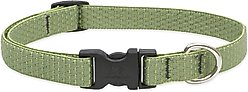 LupinePet Eco Polyester Dog Collar, Moss, Small: 9 to 14-in neck, 3/4-in wide