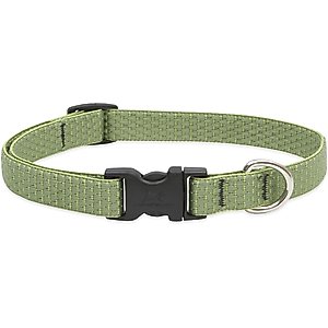 LupinePet Eco Polyester Dog Collar, Moss, Small: 9 to 14-in neck, 3/4-in wide