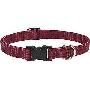 LupinePet Eco Polyester Dog Collar, Berry, Small: 9 to 14-in neck, 3/4-in wide