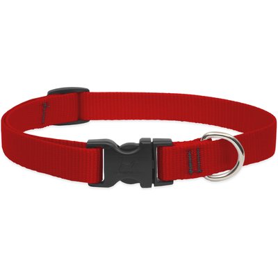 LupinePet LupinePet Basic Solid Nylon Dog Collar, Red, Large: 15 to 25-in neck, 3/4-in wide