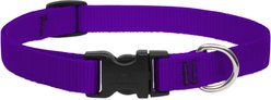 LupinePet Basic Solid Nylon Dog Collar, Purple, Small: 9 to 14-in neck, 3/4-in wide