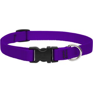 LupinePet Basic Solid Nylon Dog Collar, Purple, Small: 9 to 14-in neck, 3/4-in wide