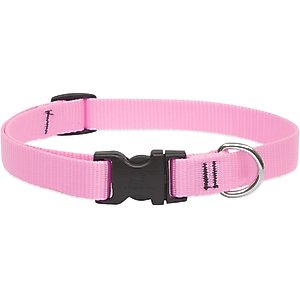 LupinePet Basic Solid Nylon Dog Collar, Pink, Medium: 13 to 22-in neck, 3/4-in wide