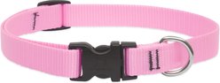 LupinePet Basic Solid Nylon Dog Collar, Pink, Small: 9 to 14-in neck, 3/4-in wide