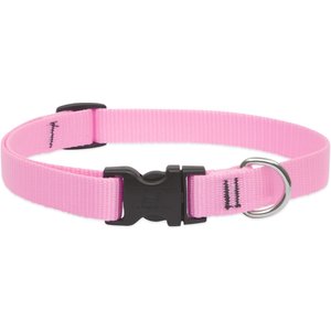 LupinePet Basic Solid Nylon Dog Collar, Pink, Small: 9 to 14-in neck, 3/4-in wide