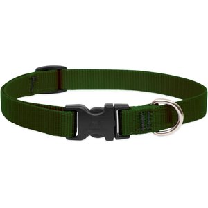 LupinePet Basic Solid Nylon Dog Collar, Green, Large: 15 to 25-in neck, 3/4-in wide