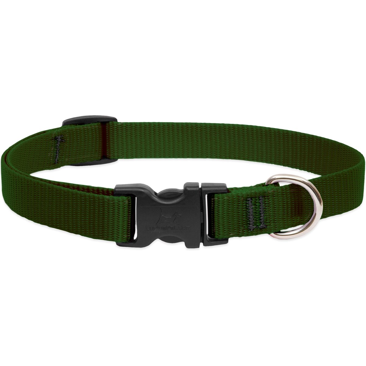 LupinePet Basic Solid Nylon Dog Collar, Green, Medium: 13 to 22-in neck, 3/4-in wide