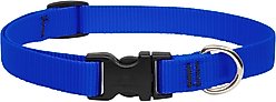 LupinePet Basic Solid Nylon Dog Collar, Blue, Medium: 13 to 22-in neck, 3/4-in wide