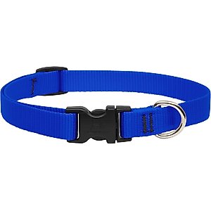 LupinePet Basic Solid Nylon Dog Collar, Blue, Medium: 13 to 22-in neck, 3/4-in wide