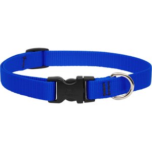 LupinePet Basic Solid Nylon Dog Collar, Blue, Small: 9 to 14-in neck, 3/4-in wide