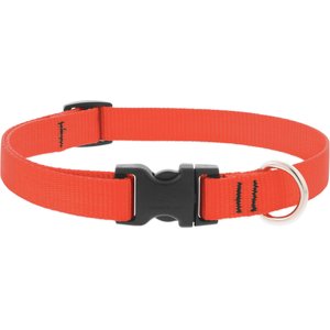 LupinePet Basic Solid Nylon Dog Collar, Blaze Orange, Large: 15 to 25-in neck, 3/4-in wide