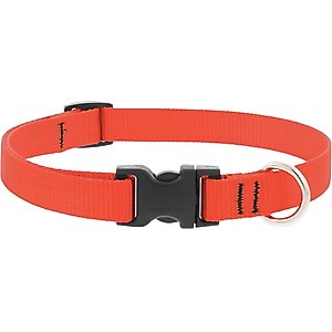 LupinePet Basic Solid Nylon Dog Collar, Blaze Orange, Small: 9 to 14-in neck, 3/4-in wide