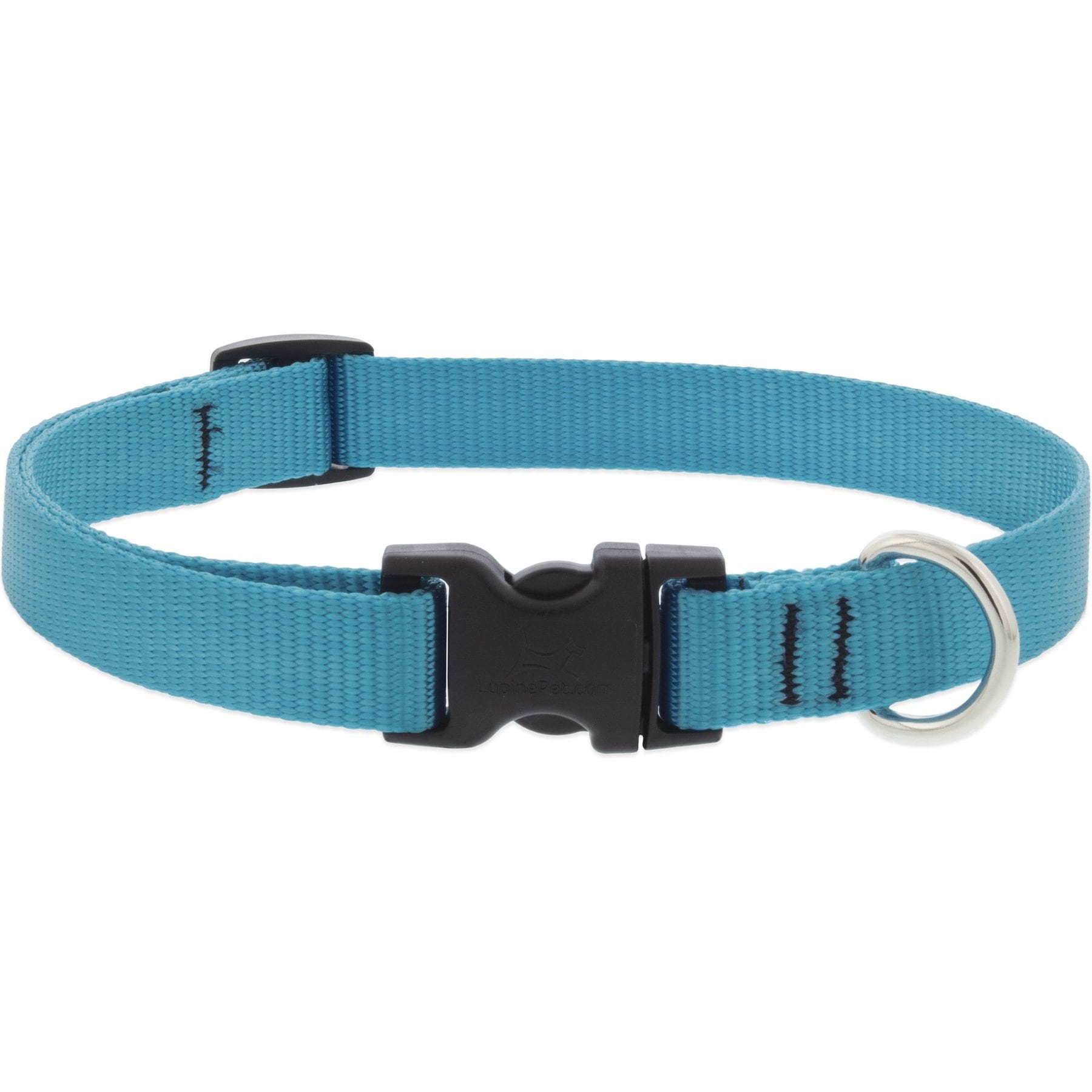 LupinePet Basic Solid Nylon Dog Collar, Aqua, Large: 15 to 25-in neck, 3/4-in wide