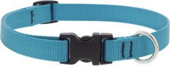 LupinePet Basic Solid Nylon Dog Collar, Aqua, Medium: 13 to 22-in neck, 3/4-in wide