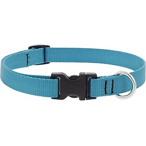 LupinePet Basic Solid Nylon Dog Collar, Aqua, Medium: 13 to 22-in neck, 3/4-in wide
