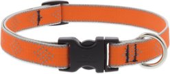 LupinePet Diamonds Nylon Reflective Dog Collar, Orange, Medium: 13 to 22-in neck, 3/4-in wide
