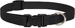 LupinePet Basics Nylon Standard Dog Collar, Black, Medium: 13 to 22-in neck, 3/4-in wide