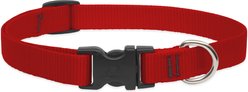 LupinePet Basic Solid Nylon Dog Collar, Red, Small: 9 to 14-in neck, 3/4-in wide
