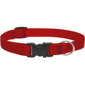 LupinePet Basic Solid Nylon Dog Collar, Red, Small: 9 to 14-in neck, 3/4-in wide