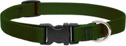 LupinePet Basic Solid Nylon Dog Collar, Green, Small: 9 to 14-in neck, 3/4-in wide
