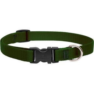 LupinePet Basic Solid Nylon Dog Collar, Green, Small: 9 to 14-in neck, 3/4-in wide