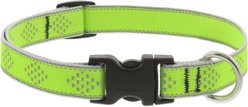LupinePet Diamonds Nylon Reflective Dog Collar, Green, Large: 15 to 25-in neck, 3/4-in wide