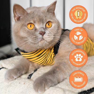 Show full view: Suitical Recovery Suit Cat Apparel, Tiger Print, Small slide 10 of 11