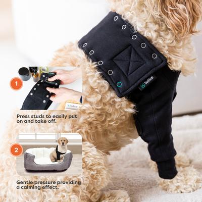 Show full view: Suitical Recovery Sleeve for Dogs, Black, XXX-Small slide 6 of 13