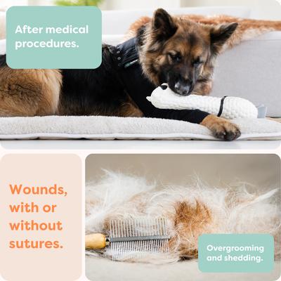 Show full view: Suitical Recovery Sleeve for Dogs, Black, XXX-Small slide 3 of 13