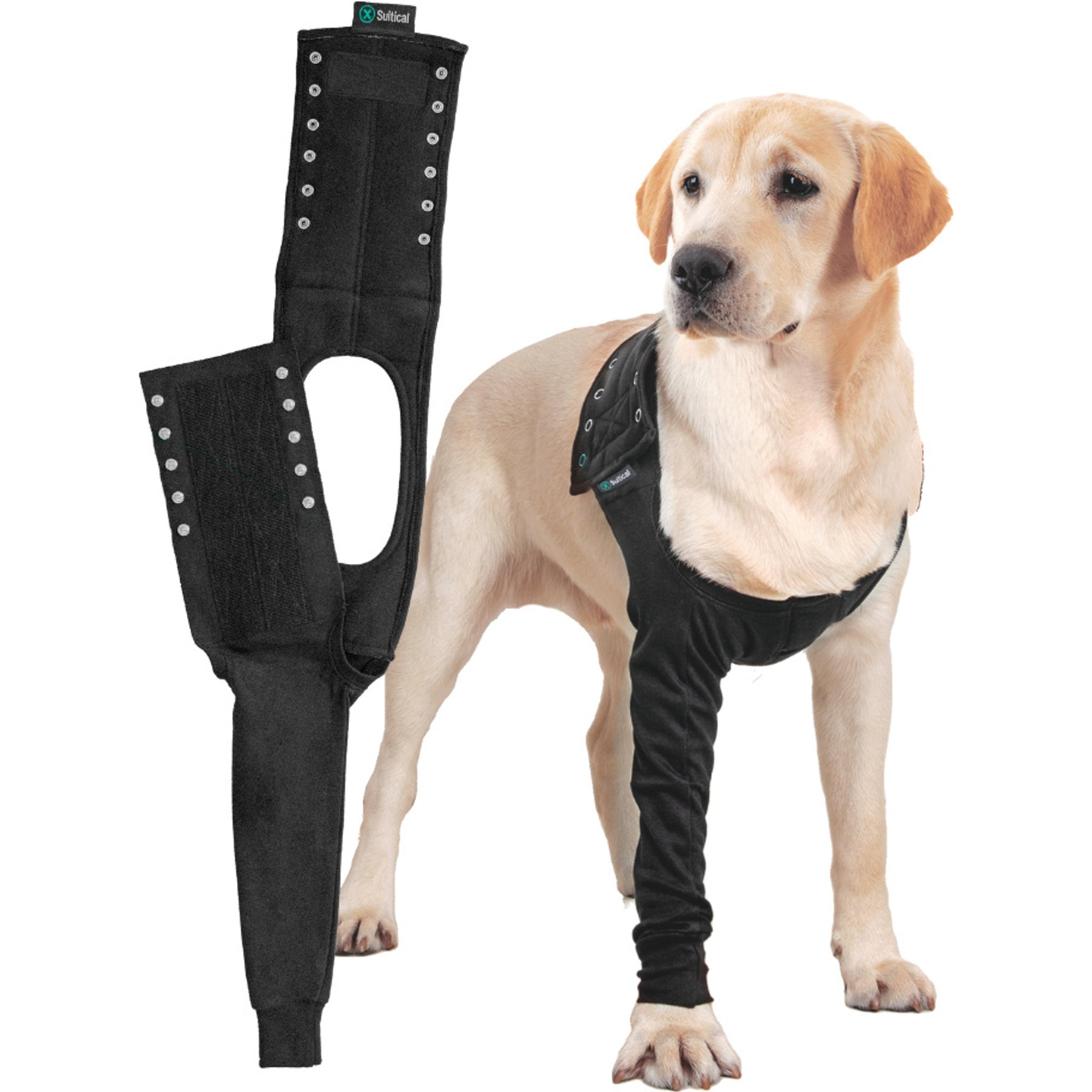 Suitical Recovery Sleeve for Dogs, Black, Medium