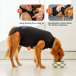 Suitical Recovery Suit for Dogs, Black, Large