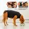 Show in main carousel: Suitical Recovery Suit for Dogs, Black, Small slide 6 of 12