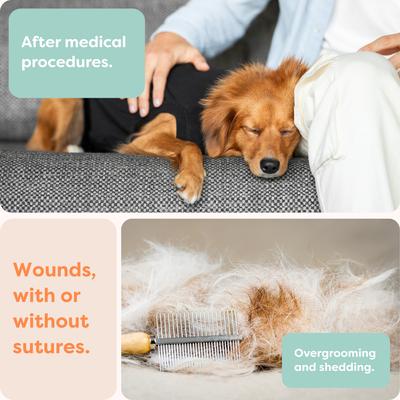 Show full view: Suitical Recovery Suit for Dogs, Black, Small slide 3 of 12