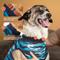 Show in main carousel: Suitical Recovery Suit for Dogs, Blue Camo, Small slide 5 of 12