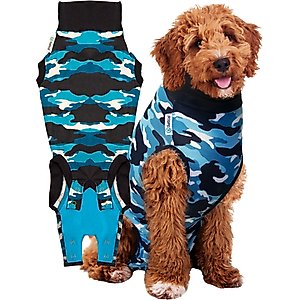 All Four Paws Comfy Cone E-Collar for Dogs & Cats, Tan