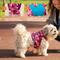 Show in main carousel: Suitical Recovery Suit for Dogs, Pink Camo, Small + slide 7 of 12