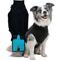 Show in main carousel: Suitical Recovery Suit for Dogs, Black, Medium slide 1 of 12