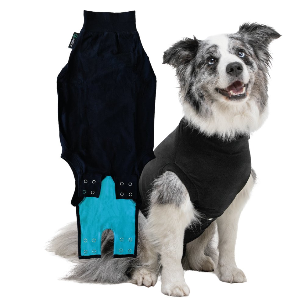 Recovery Suit for Dogs