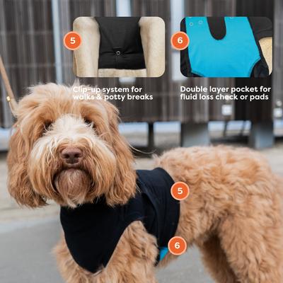 Show full view: Suitical Recovery Suit for Dogs, Black, Small slide 7 of 12