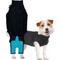 Show in main carousel: Suitical Recovery Suit for Dogs, Black, Small slide 1 of 12