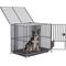 Show in main carousel: BingoPaw 3 Door Furniture-Style Dog Crate, Black, 36 inch slide 5 of 11