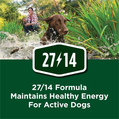 Show full view: Dog Chow High Protein with Real Chicken Adult Dry Dog Food, 18-lb bag slide 6 of 11