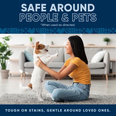 Show full view: EcoStrong Oxy Dog Stain & Odor Eliminator, 32-fl oz spray bottle slide 8 of 9