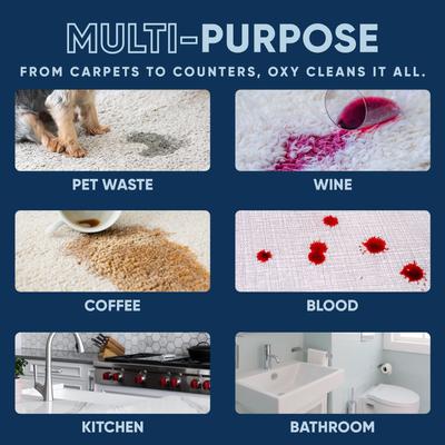 Show full view: EcoStrong Oxy Dog Stain & Odor Eliminator, 32-fl oz spray bottle slide 5 of 9