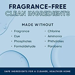 EcoStrong Fragrance Free Dog Stain & Odor Eliminator, 1-gallon jug slide 2 of 7