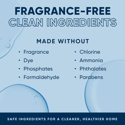 Show full view: EcoStrong Fragrance Free Dog Stain & Odor Eliminator, 32-fl oz spray bottle slide 7 of 9