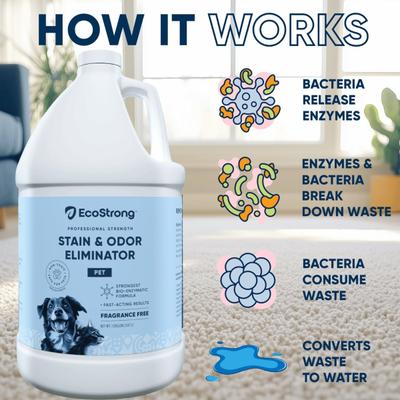 Show full view: EcoStrong Fragrance Free Dog Stain & Odor Eliminator, 1-gallon jug slide 4 of 7