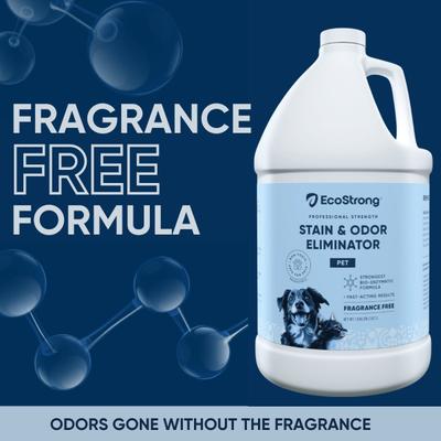 Show full view: EcoStrong Fragrance Free Dog Stain & Odor Eliminator, 1-gallon jug slide 2 of 7